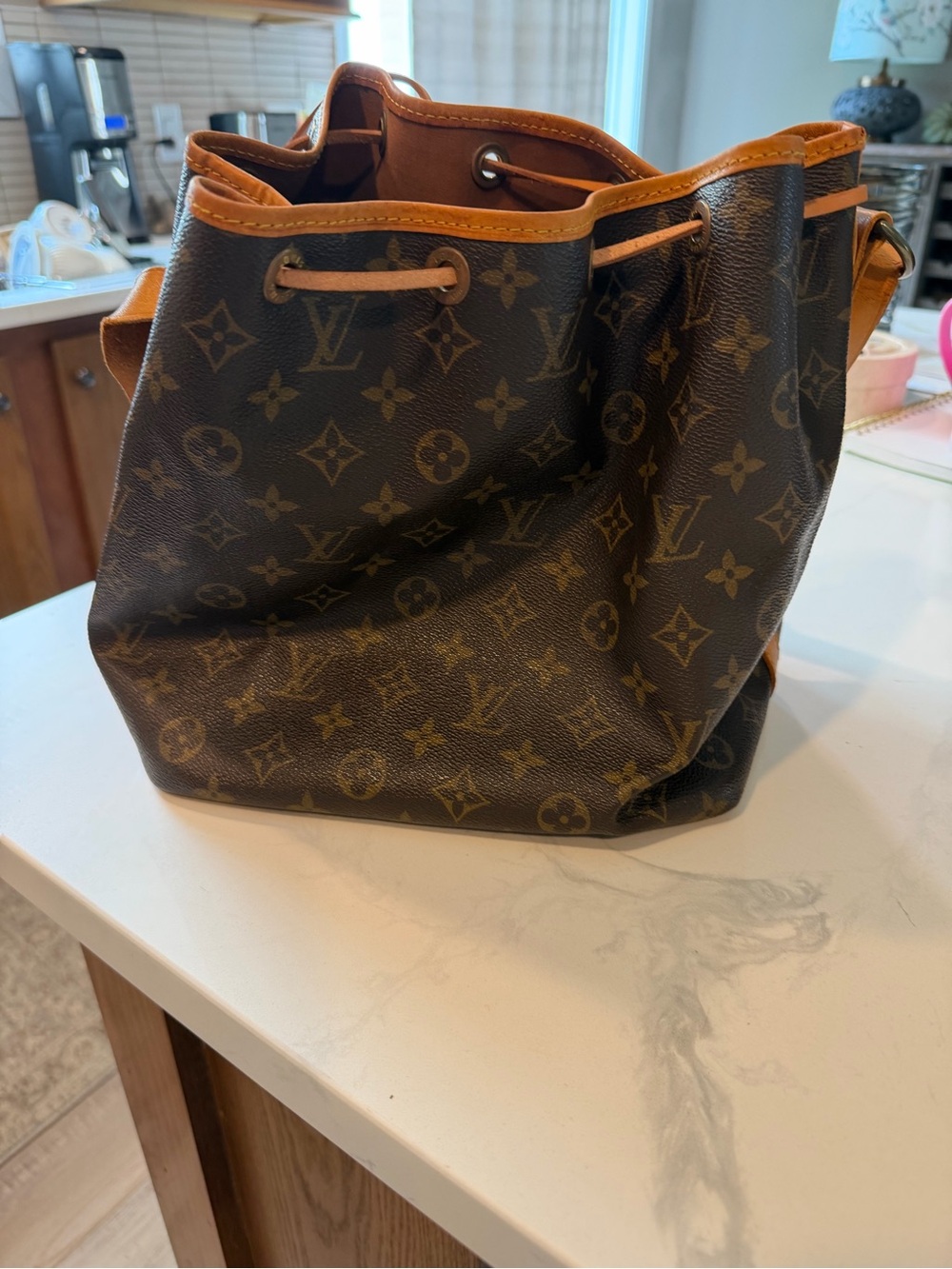 Louis Vuitton Monogram Canvas Bucket Bag with Tan Leather Trim - Picture 2 of 8